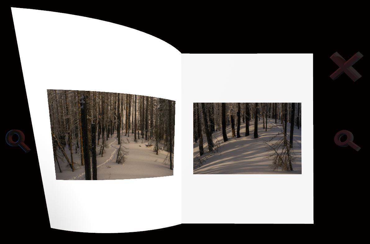 Web Book Visualizer screenshot